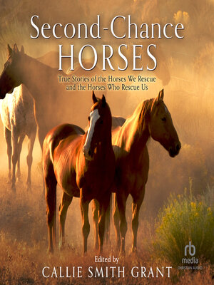 cover image of Second-Chance Horses